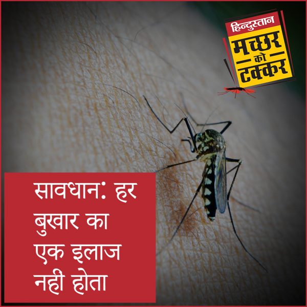 World Mosquito Day